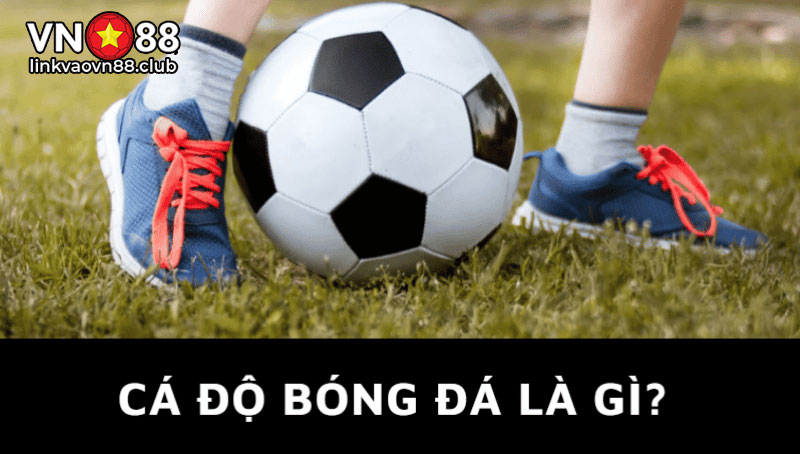 Cá Độ Bóng Đá Là Gì? Hướng Dẫn Cách Cá Độ Bóng Đá Dễ Thắng 2024 8 Cá độ bóng đá là gì?