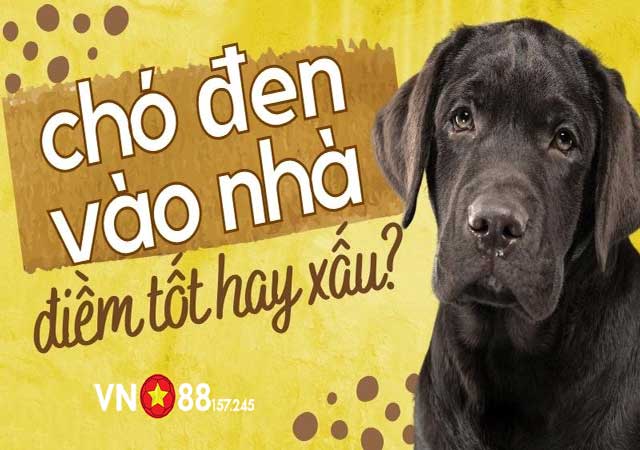 Nằm mơ thấy chó đen vào nhà tốt hay xấu 