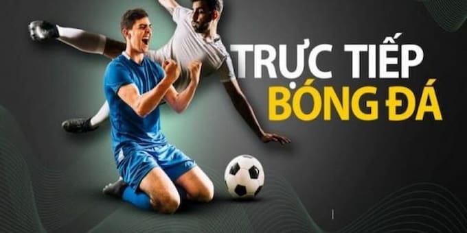 VN88 167 - cung cấp thông tin cá cược đầy đủ nhất